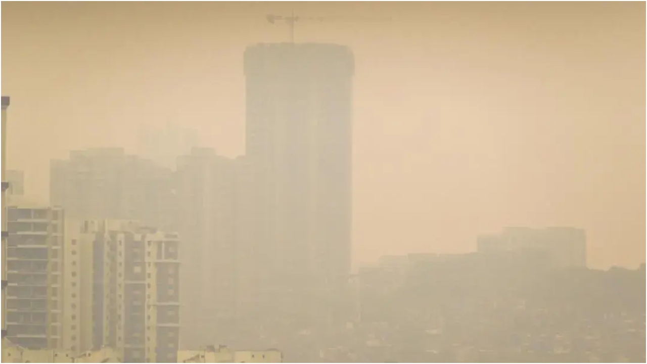 हवा में प्रदूषकों के ऊंचे स्तर की उपस्थिति सीओपीडी वाले लोगों के लिए विशेष रूप से हानिकारक हो जाती है, क्योंकि वे वायु प्रदूषण के प्रतिकूल प्रभावों के प्रति अधिक संवेदनशील होते हैं.