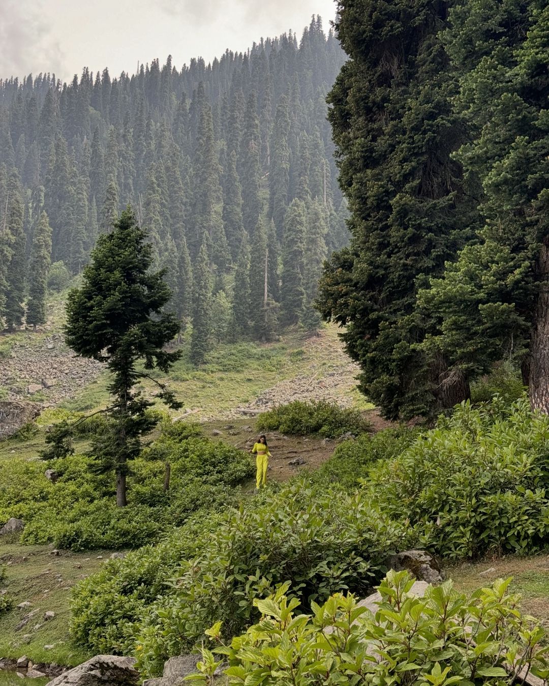 शेयर फोटोज में सारा, जंगल में खड़ी होकर प्राकृतिक सुंदरता का आनंद लेती दिखाई दी. 