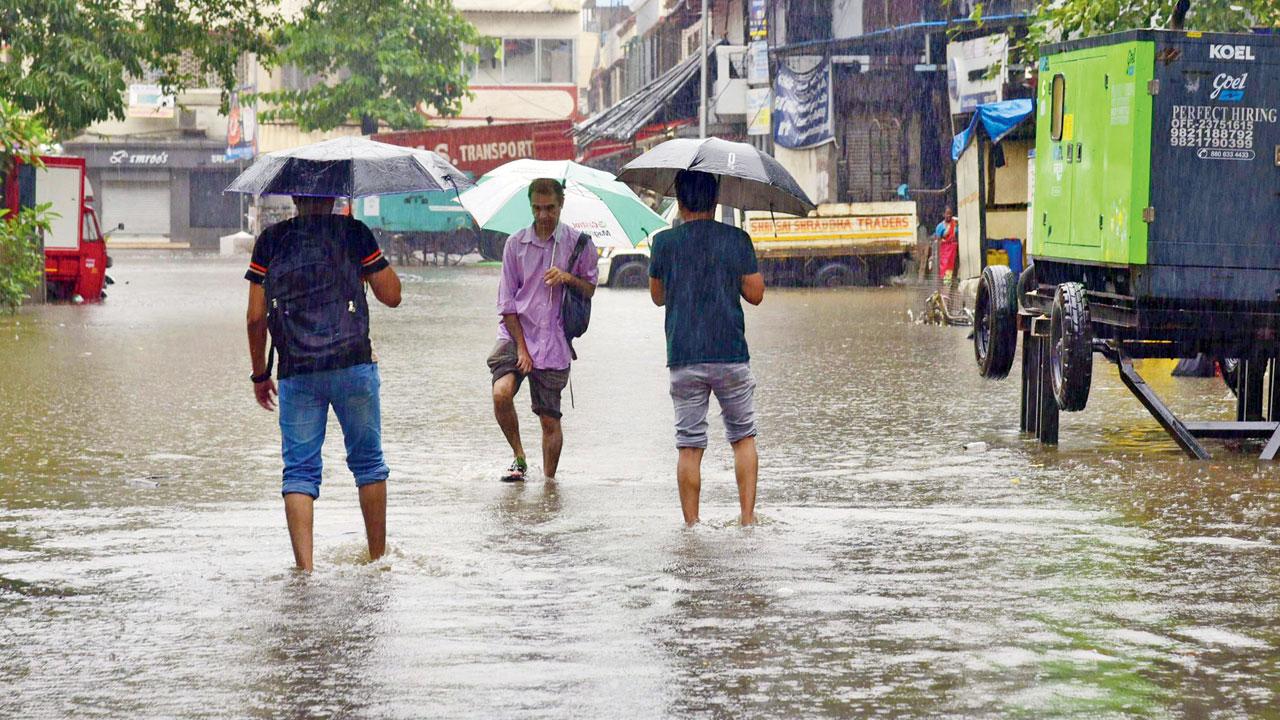 ડેન્ગી-મલેરિયાએ માથું ઊંચક્યું