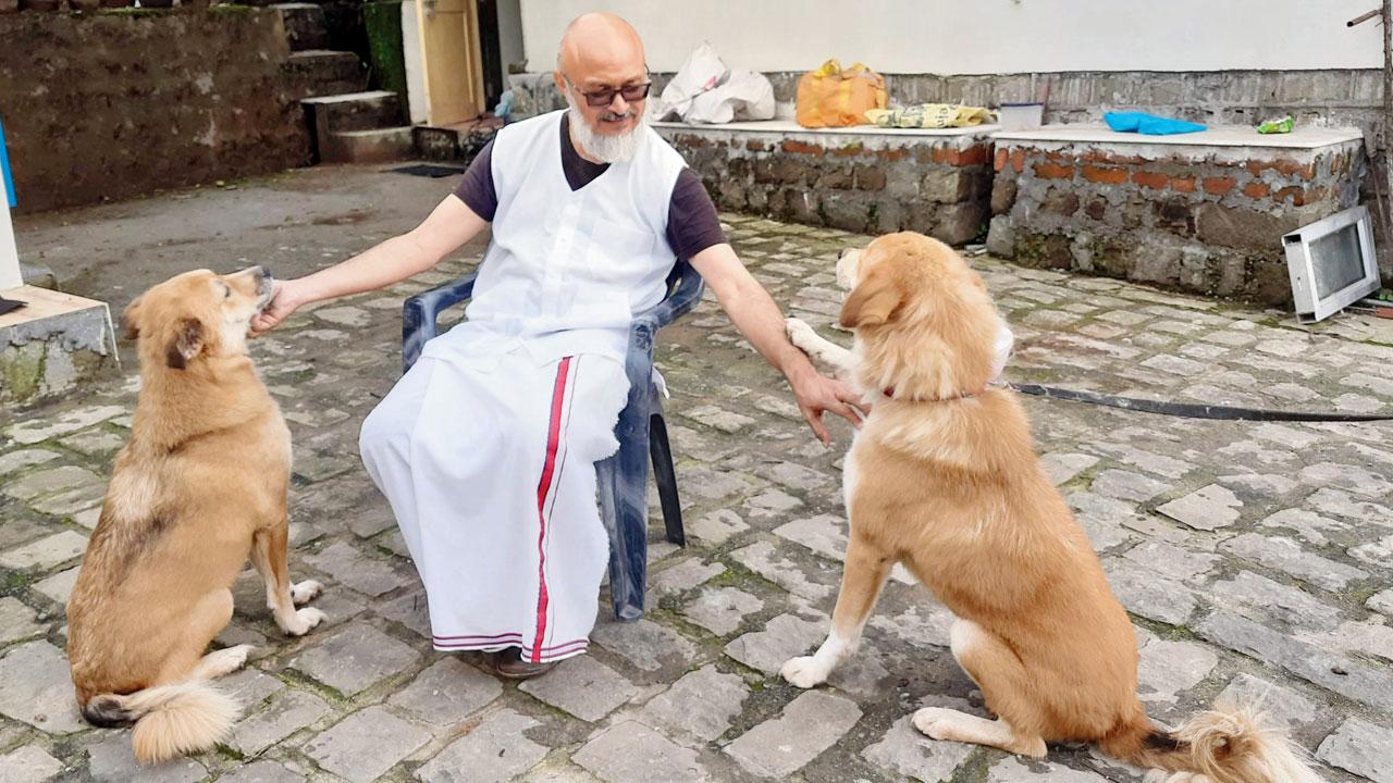  આંતરરાષ્ટ્રીય ડૉગ ડે 