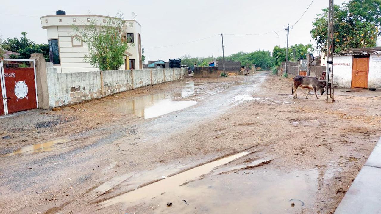 કચ્છમાં દરિયાકિનારે આવેલું લુણી ગામ.