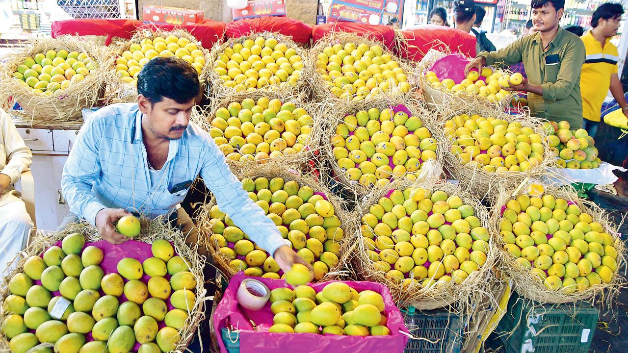 કેસર કેરી મોડી પણ, મોંઘી પણ