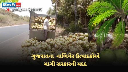 ગુજરાતના નાળિયેર ઉત્પાદકો માગી રહ્યા છે વ્યવસાય વિસ્તરણ માટે સરકાર પાસેથી મદદ