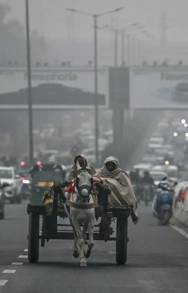 ડિસેમ્બરમાં દિલ્હીમાં વધી ઠંડી