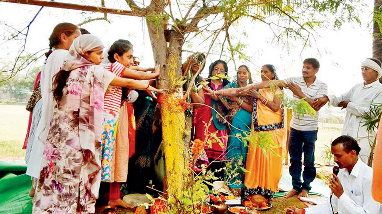 પ્રતીકાત્મક તસવીર