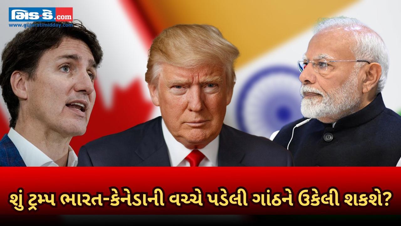 ભારત-કેનેડા વિવાદ: શું પ્રેસિડેન્ટ ટ્રમ્પ આ ગાંઠને ઉકેલવામાં મદદ કરી શકે છે?