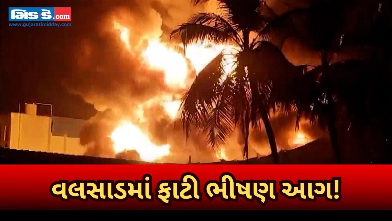 ગુજરાત: વલસાડની પ્લાસ્ટિક ફેક્ટરીમાં ભીષણ આગ ફાટી નીકળી