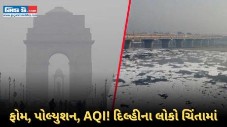 સ્થાનિક લોકોએ પ્રદૂષણ, AQI સ્તર અને યમુના ફીણ અંગે ચિંતા વ્યક્ત કરી- જુઓ