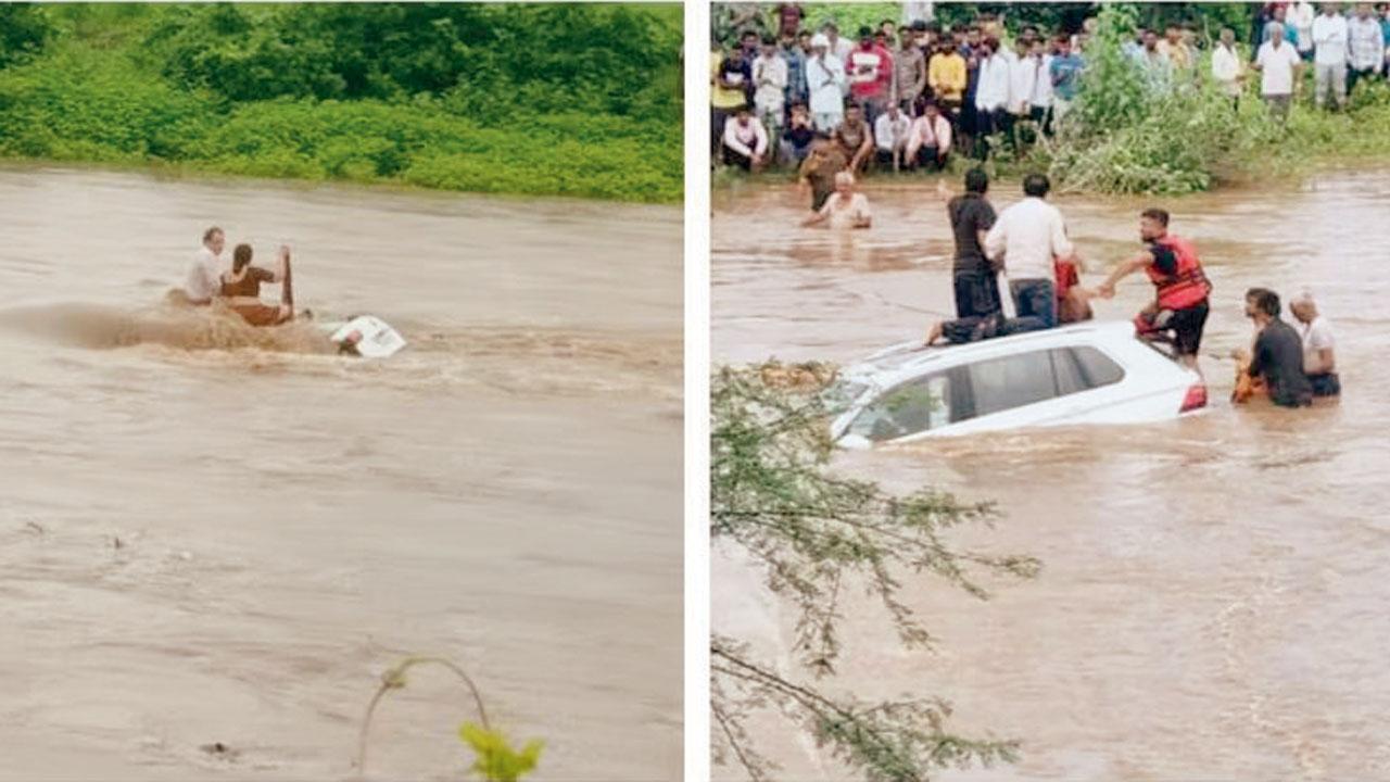 વાયરલ વીડિયોમાંથી સ્ક્રીન શૉટ