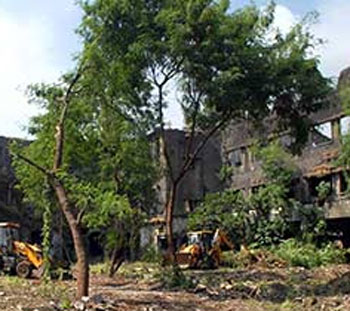 સાઉથ મુંબઈમાં ૨૦૨ વૃક્ષોનું નિંકદન કાઢવામાં આવશે