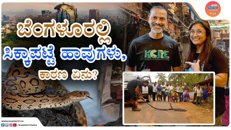 garbage and snakes rj pallavi