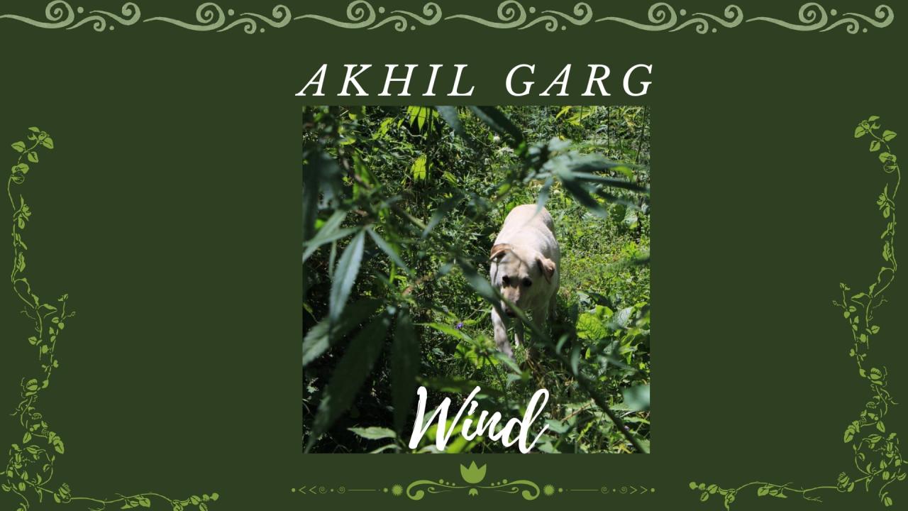 Wind: Akhil Garg's Version of Inside Out in Six Minutes 