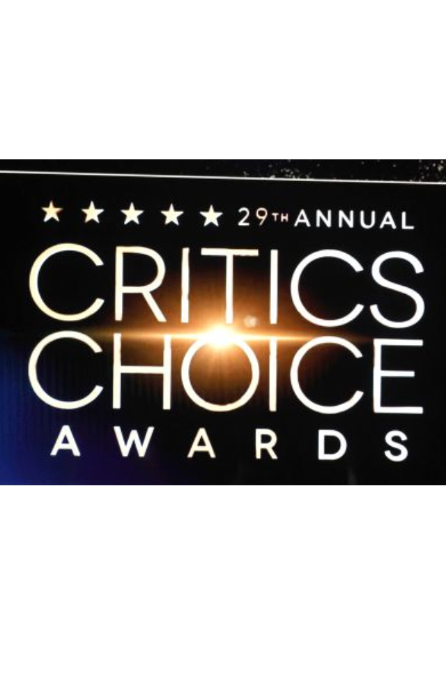 Critics Choice Awards 2024 stars attire